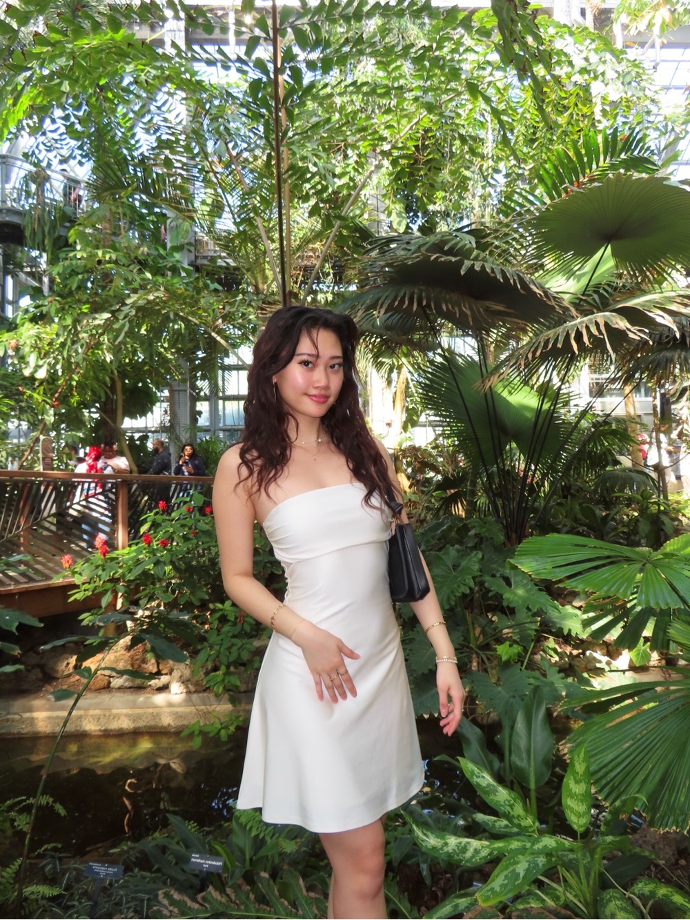 Windsor Strapless Cream Fit-and-Flare Dress